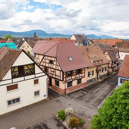 La Ruine - Gite D'Alsace Jusqu'A 10 Personnes Avec Spa Interieur Guémar エクステリア 写真